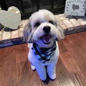 Meet your Posher, Daniel